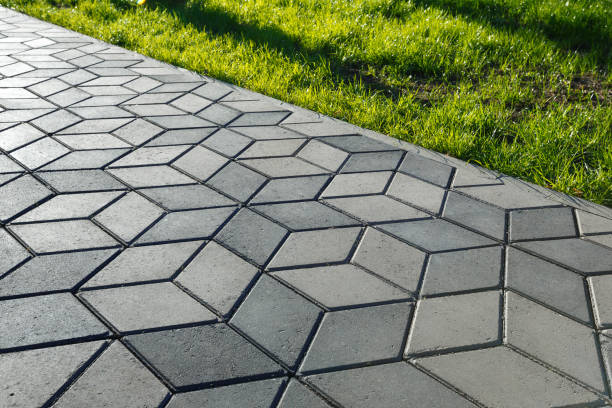 Best Professional Driveway Pavers  in Williamsport, MD