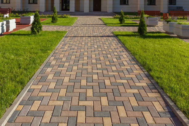 Best Driveway Repair Near Me  in Williamsport, MD